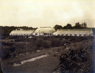 Greenhouse, south facing