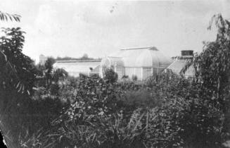 View of Greenhouse with Church in background