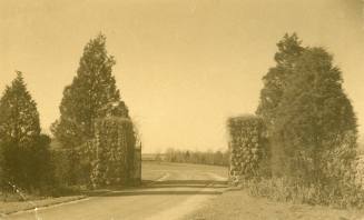 Front gate and entrance drive with house in distance.