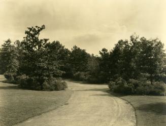 Section of drive in front of house