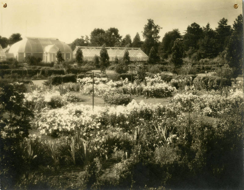 Gardens and east end of Greenhouse complex
