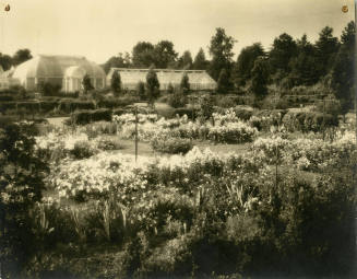 Gardens and east end of Greenhouse complex